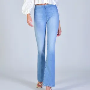 BLACK ORCHID Fernanda High Rise Pull On Flare
