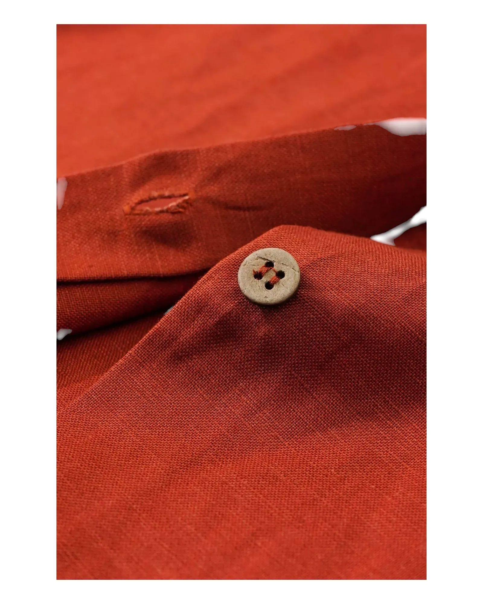 Button-Down Coat with Classic Collar