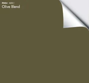 Dulux Olive Blend