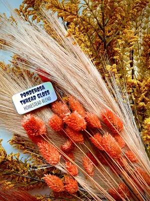 Homestead Blend Ponderosa Thread Gloss