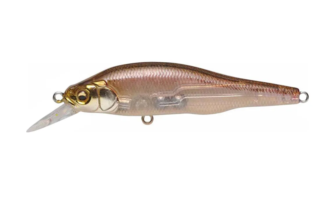 Megabass X-80 Trick Darter