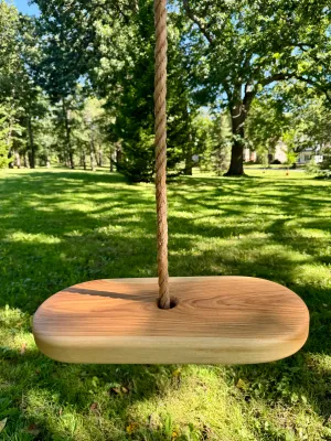 Oval Style Tree Swing