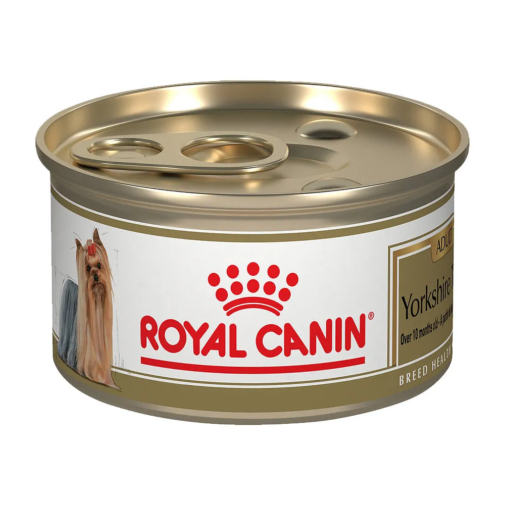 Royal Canin Breed Health Nutrition Yorkshire Terrier Adult Canned Dog Food (3-oz, case of 24)