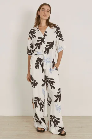 Scylla Pant