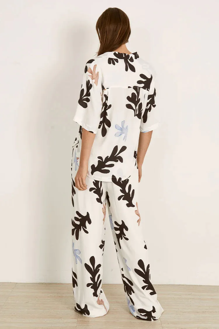 Scylla Pant